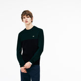 Mens Crew Neck Ribbed Wool Sweater | Lacoste Navy Blue / Green • Dvq