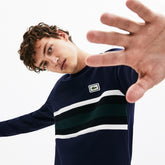 Mens Crewneck Striped Cotton T-Shirt | Lacoste Navy Blue / White / Black / Green • 4Ca