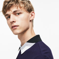 Mens Lacoste Slim Fit Colourblock Striped Knop Piqué Polo Shirt | Lacoste Navy Blue • 166