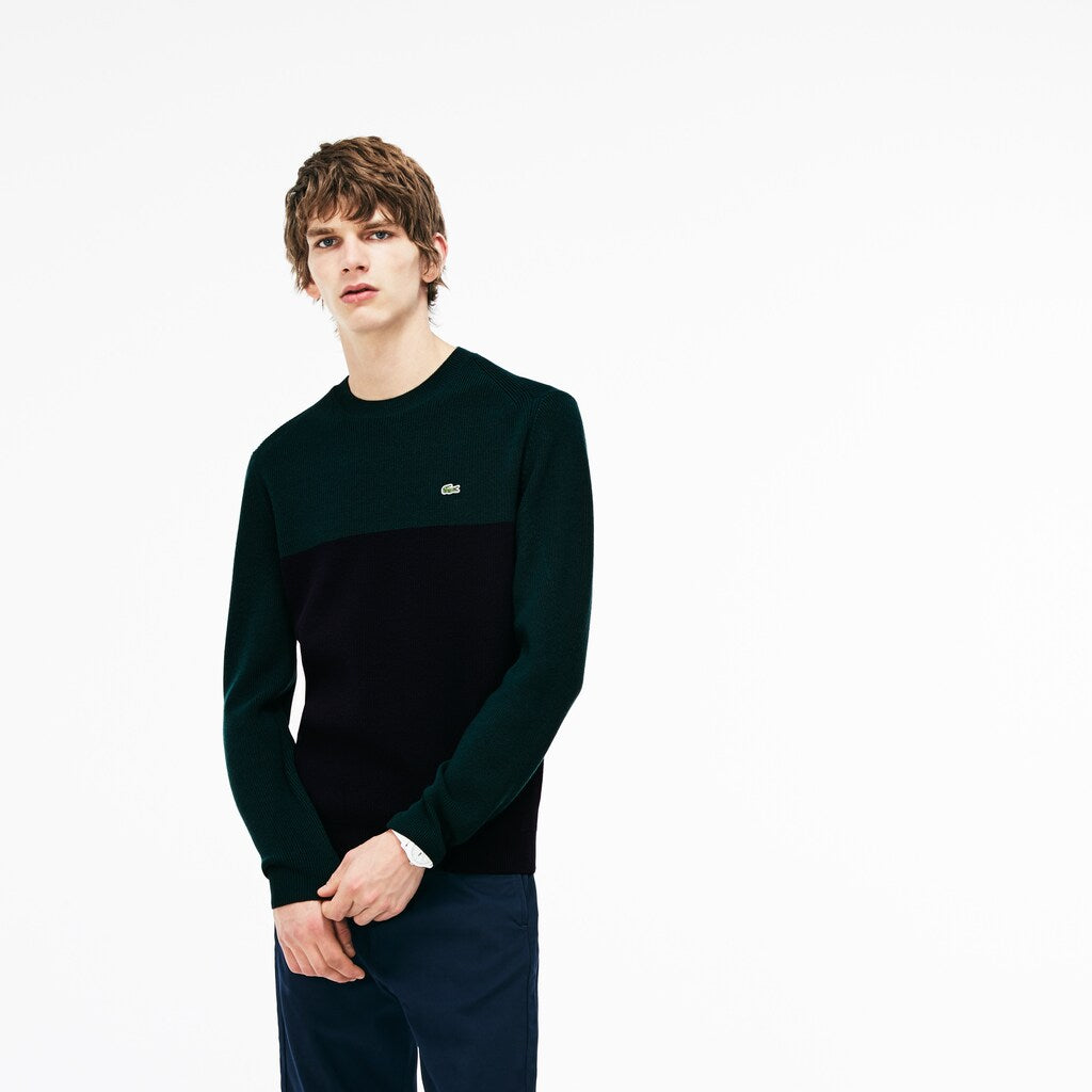 Mens   Crew Neck Ribbed Wool Sweater | Lacoste Navy Blue / Green • Dvq