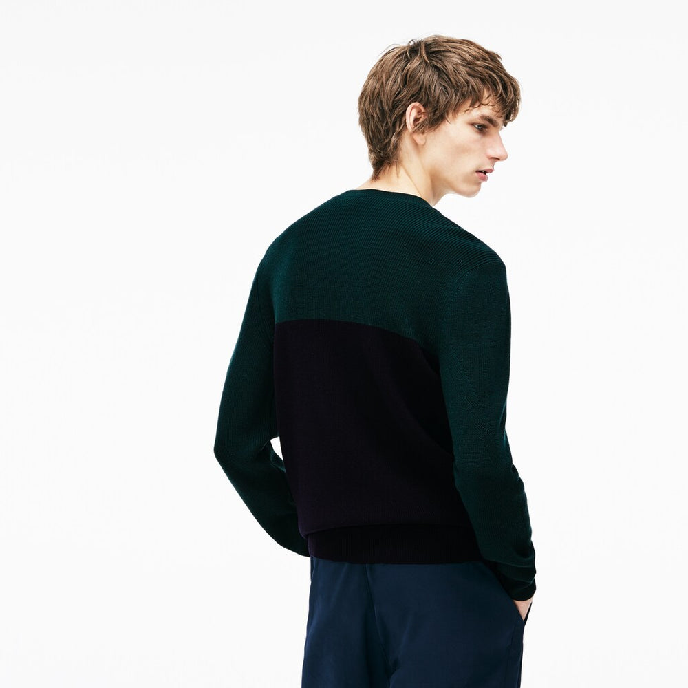 Mens   Crew Neck Ribbed Wool Sweater | Lacoste Navy Blue / Green • Dvq