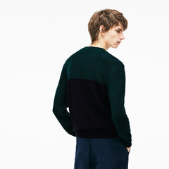 Mens   Crew Neck Ribbed Wool Sweater | Lacoste Navy Blue / Green • Dvq