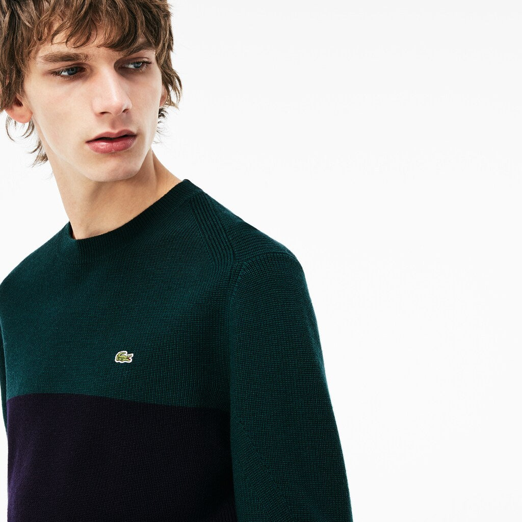 Mens   Crew Neck Ribbed Wool Sweater | Lacoste Navy Blue / Green • Dvq