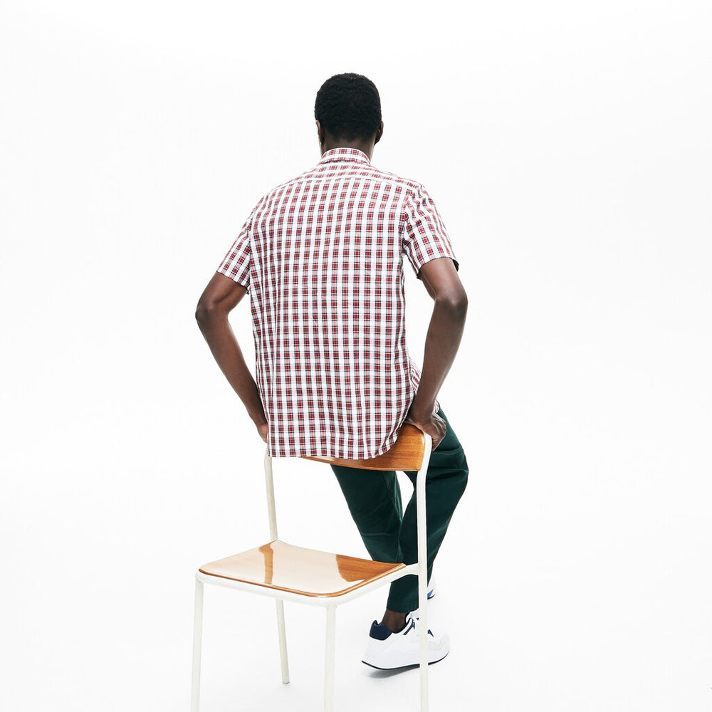 Mens   Short Sleeve Plaid Poplin Shirt | Lacoste White / Bordeaux • 1Ny