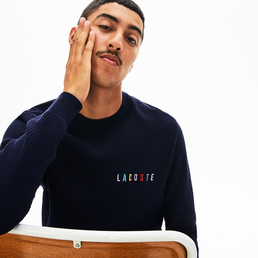 Mens   Crewneck Embroidered Cotton Blend Sweater | Lacoste Navy Blue • 166