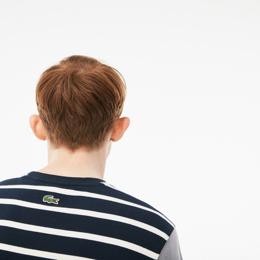 Mens   LIVE Striped Cotton Jersey T-shirt | Lacoste Blue / White / Dark Grey • D9Z
