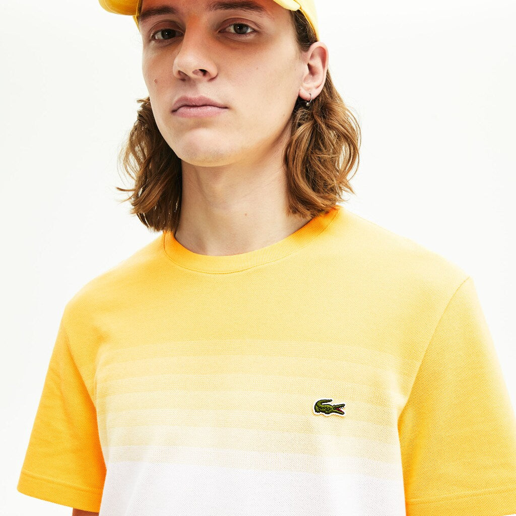 Mens   Made in France Cotton Piqué Cotton Crew Neck T-shirt | Lacoste Yellow / White • Rx7