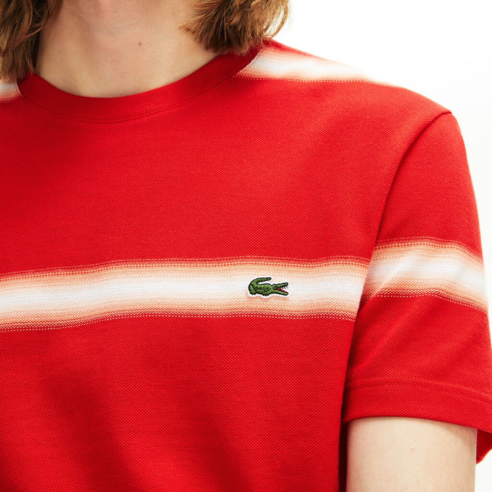 Mens   Made in France Striped Cotton Piqué Crew Neck T-shirt | Lacoste Red / White • 75S