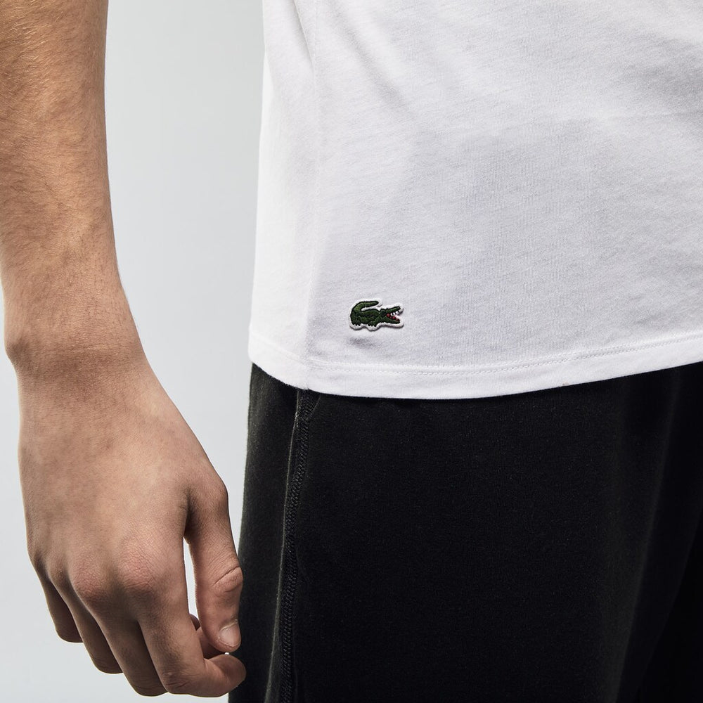 Mens   3 Pack of Plain T-Shirts | Lacoste White • 001