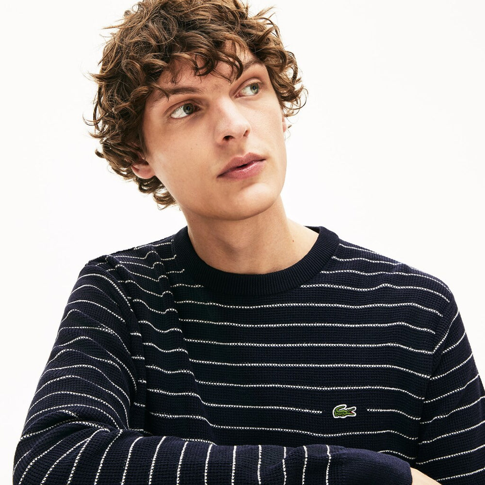 Mens   Striped Textured Cotton Sweater | Lacoste Navy Blue / White • M5C